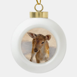 Boule En Céramique Photographie de cerfs fantaisistes de la forêt