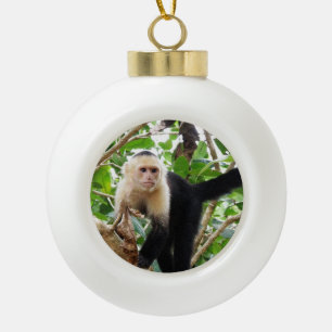 Boule En Céramique Singe en le Costa Rica