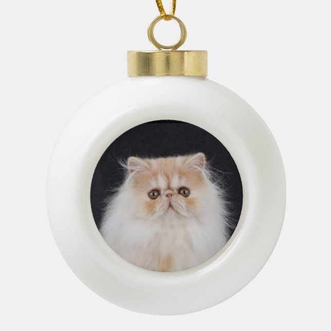 Boule En Céramique WiccaCats Meira (Devant)