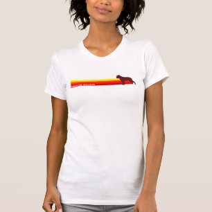 Bouledogue américain avec le T-shirt de rayures