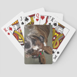 Bouledogue anglais de cartes de jeu de tisonnier