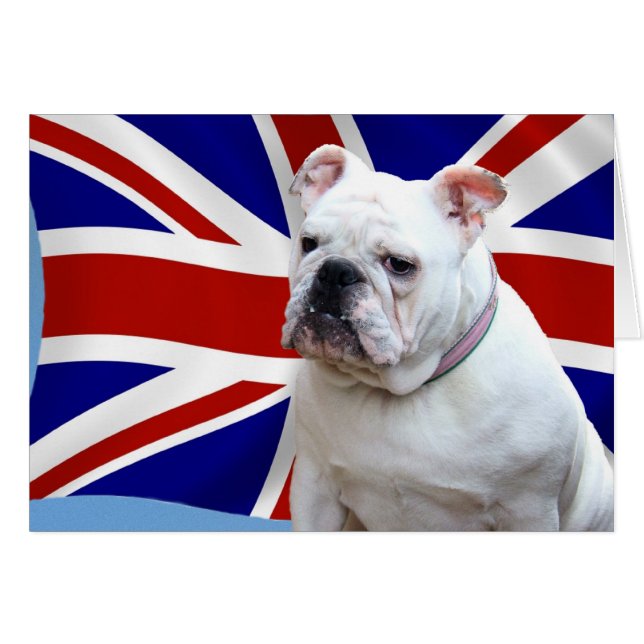Bouledogue britannique (Devant horizontal)
