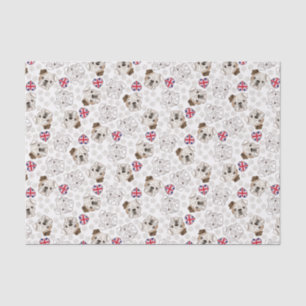 Bouledogue et papier de soie de soie anglais