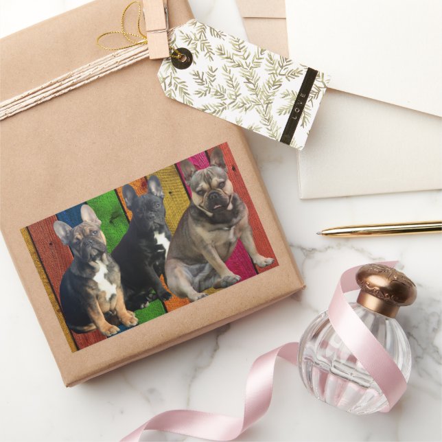 Bouledogue français 3 bully autocollant (Cadeaux)