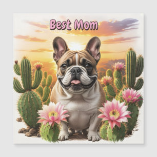 Bouledogue français Cactus Bouledogue français