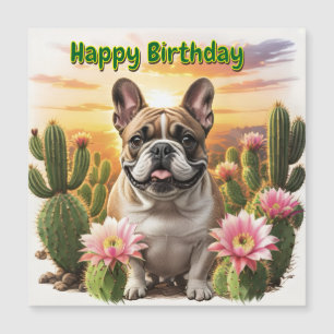Bouledogue français Cactus Bouledogue français