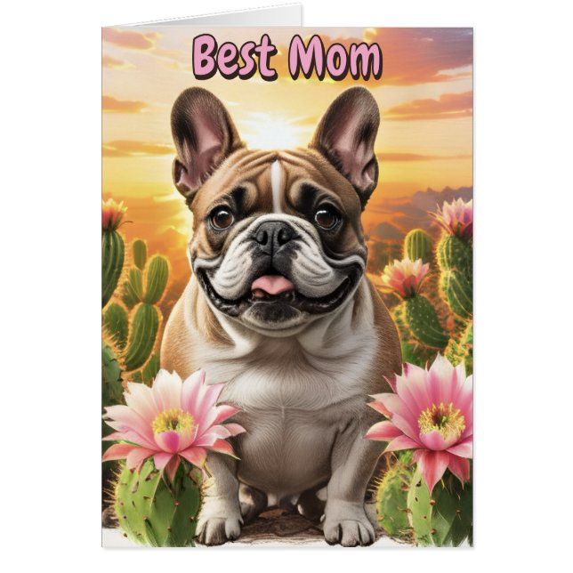 Bouledogue français Cactus Bouledogue français  (Devant)
