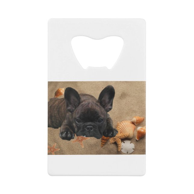 Bouledogue français de la plage Bouledogue françai (Devant)