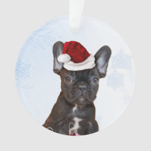 Bouledogue français de Noël