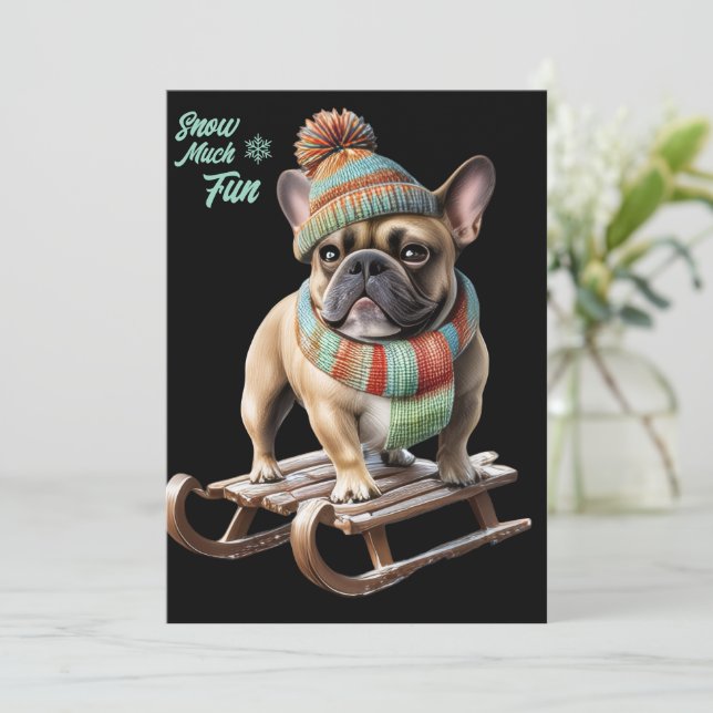 Bouledogue français faisant une descente en traîne (Debout devant)