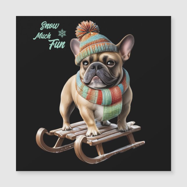 Bouledogue français faisant une descente en traîne (Devant)