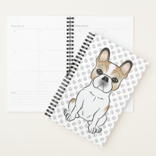 Bouledogue français fauve pied / Chien et pattes d