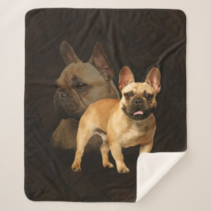 Bouledogue français - Frenchie - plaid Brown