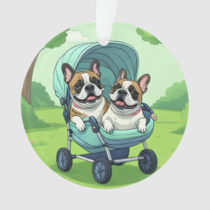 Bouledogue français jumeaux Bulldogue français