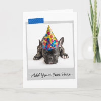 Bouledogue Français Noir Frenchie Carte Drôle