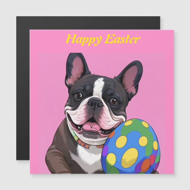 Bouledogue français œuf de P (Devant / Derrière)