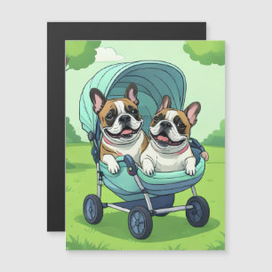 Bouledogue français Zwillinge Bouledogue français