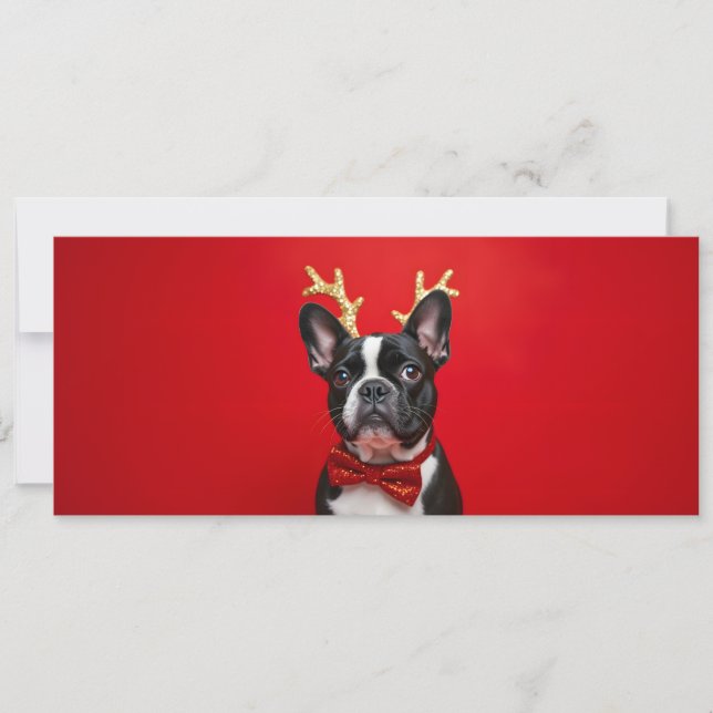 Bouledogue Fun - Carte à QR code surprise (Devant)