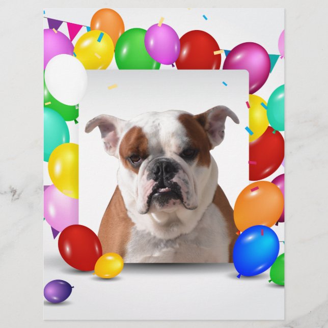 Bouledogue thème d'anniversaire avec ballons color (Devant)