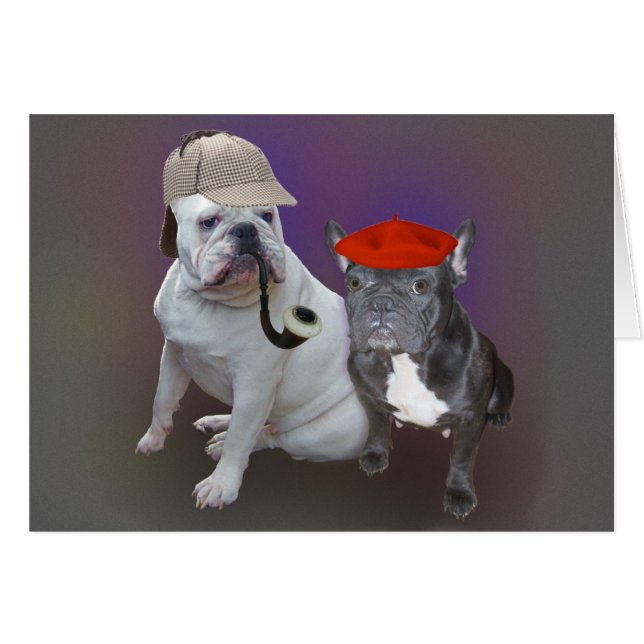 Bouledogues anglais et français (Devant horizontal)