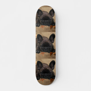 Bouledogues français skateboard