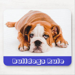 Bouledogues règnent ! Tapis de souris chiot boule