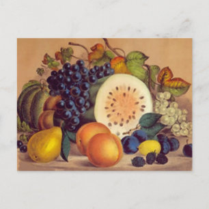 Bounty d'automne - Carte postale