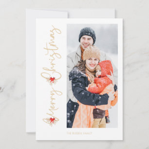 Bouquet botanique classique Joyeux Noël Photo