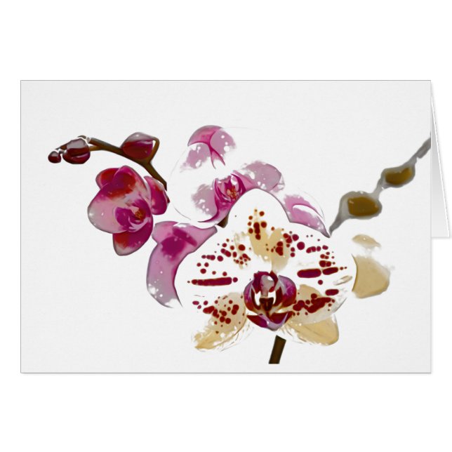 Bouquet de fleur d'orchidée de Phalaenopsis (Devant horizontal)