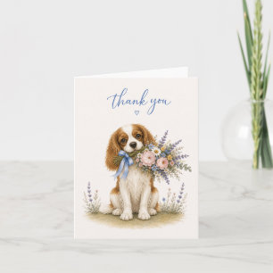 Bouquet de fleurs Cavalier King Charles Merci