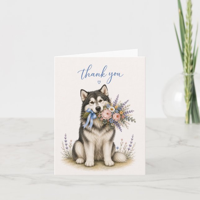 Bouquet de fleurs de Malamute d'Alaska Merci (Devant)