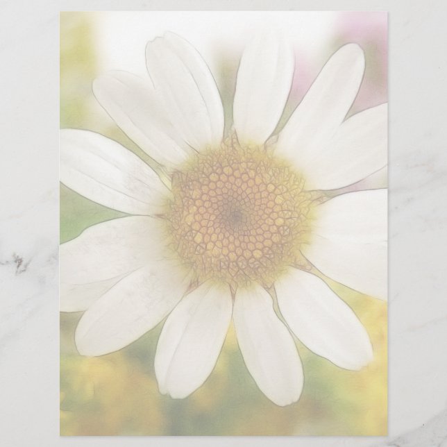 Bouquet de fleurs - Marguerite blanche (Devant)