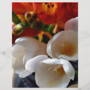 bouquet de freesias
