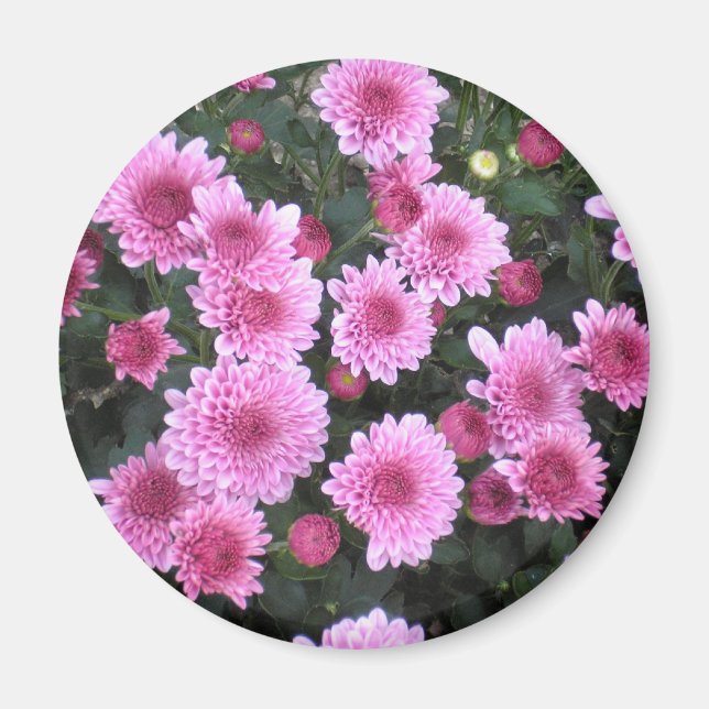 Bouquet de la nature : Magnet de printemps (Devant)