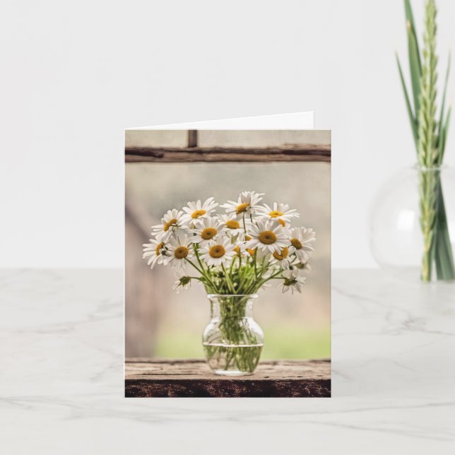 Bouquet de marguerites de ferme (Devant)