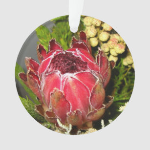 Bouquet de Protea