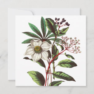 Bouquet de Rose de Noël vintage