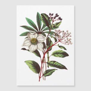 Bouquet de Rose de Noël vintage