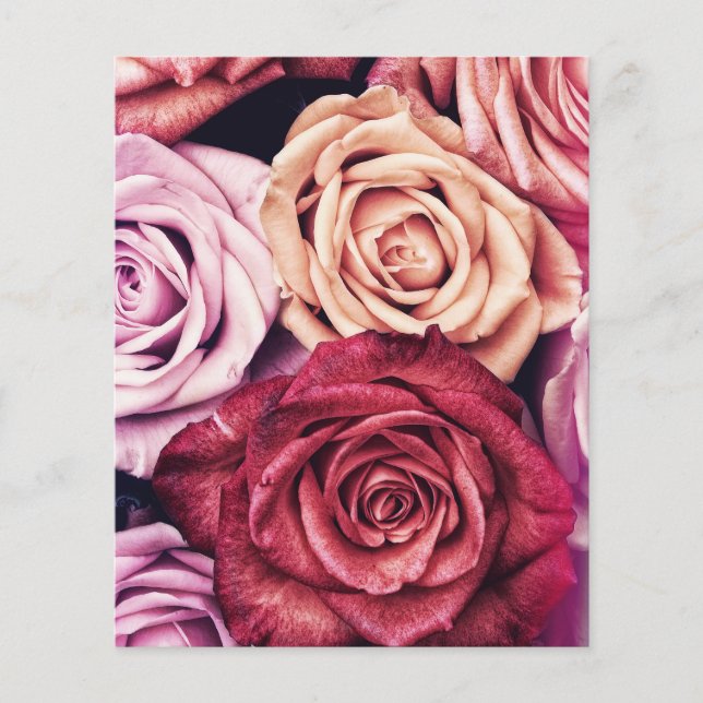 Bouquet de roses roses Photo (Devant)