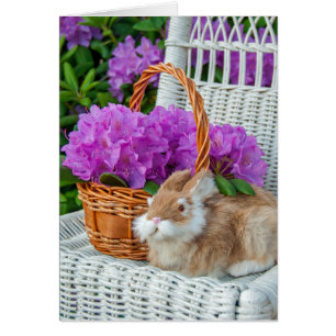 bouquet rhododendron rose et lapin sur chaise