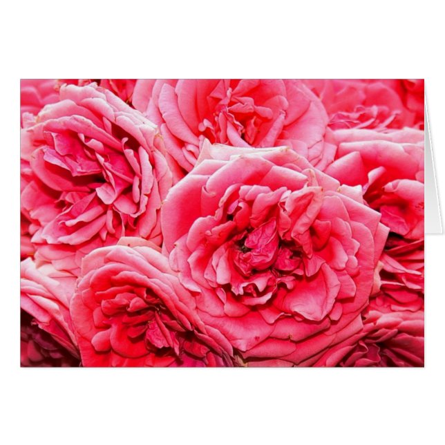 Bouquet Rose anglais (Devant horizontal)