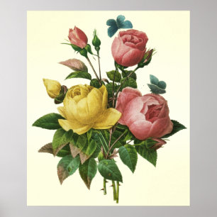Bouquet rose et papillon, Poster Pierre Redoute