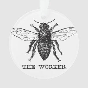 Bourdon noir ouvrier abeille miel