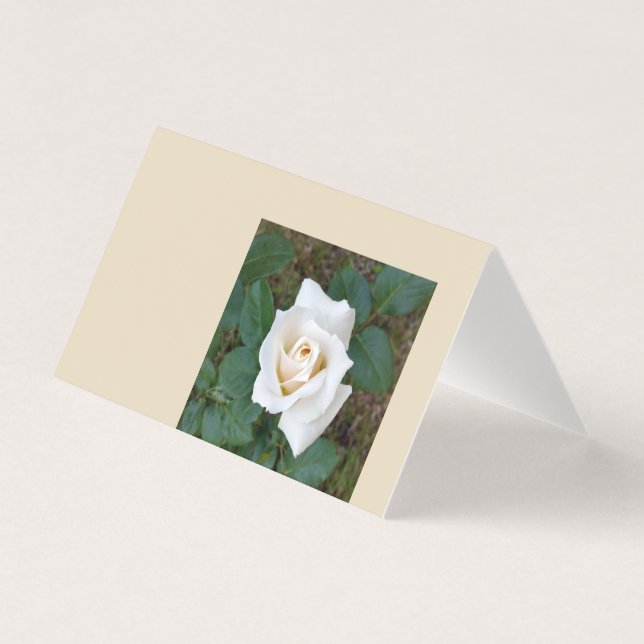 bourgeon de rose blanche (Front)