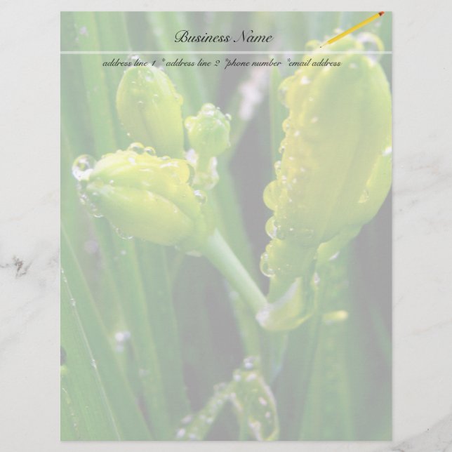 bourgeons verts printaniers (Devant)
