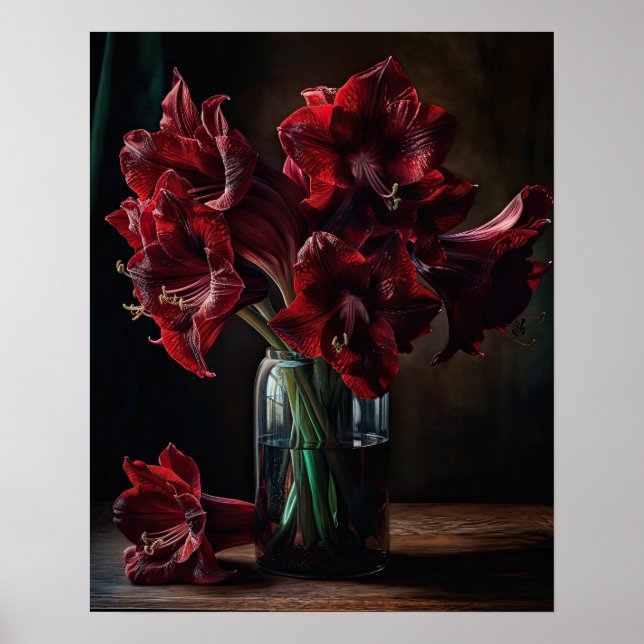 Bourgogne Amaryllis Fleurs d'Art Imprimer Poster (Devant)