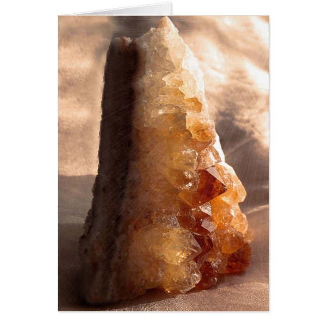 Bourse de la Citrine (Devant)