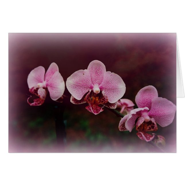 "Bourse Sur Le Chemin" (Devant Horizontal)