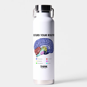 Bouteille D'eau Advice Disturb Your Routine Think Brain Anatomy