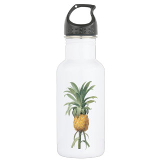 Bouteille D'eau ananas (Bromelia ananas) par Redouté